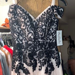 Prom drees or need a special occasion dress. Never worn